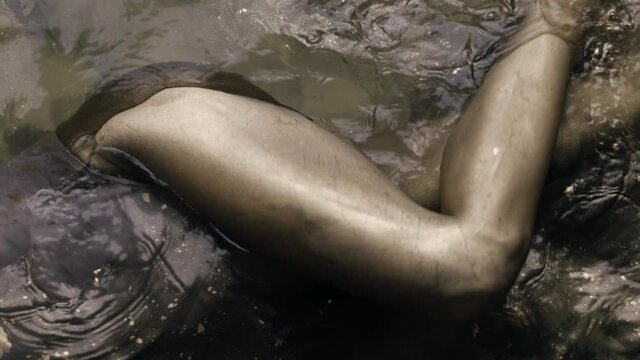 female body in water with golden and shiny paint, detail shot of hips and legs, sexy body
