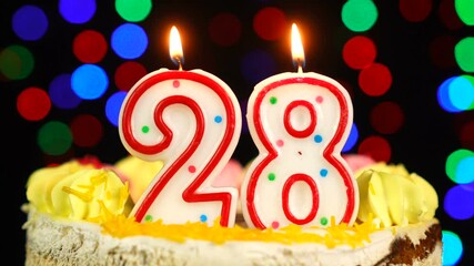 Number 28Happy Birthday Cake With Burning Candles Topper.