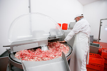 Frame view of a worker at the meat processing factory, adds spices to minced meat in a processing machine.