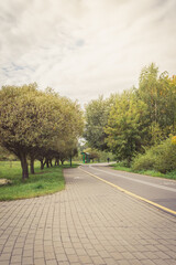Bike path in the park. Afalted road.