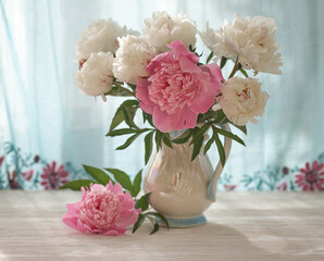Still life with white and pink peonies in a white vase