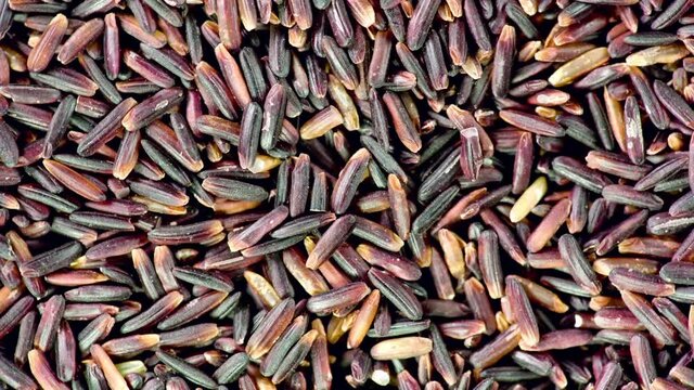 Black rice close up