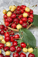Ripe red and yellow cherries on gray background