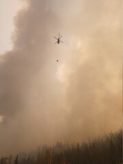 Mullen Fire