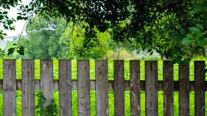 Wooden fence in the garden in summer
