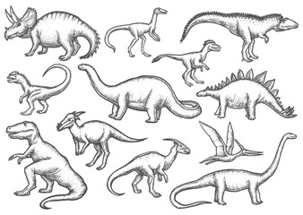 Set of isolated dinosaur sketches. T-rex or tyrannosaurus rex, dilophosaurus and deinonychosauria, stegosaurus and Triceratops, Barosaurus and Pteranodon. Jurassic vector sign. Paleontology © Elegant Solution