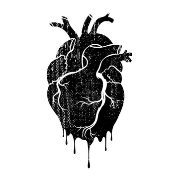 Grunge human heart. Anatomical realistic dripping heart, line art, vector illustration