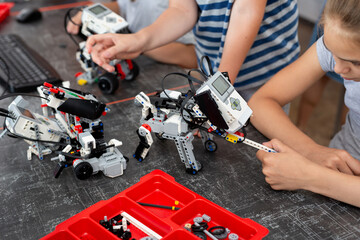 Children play with a robot dog in a robotics lesson