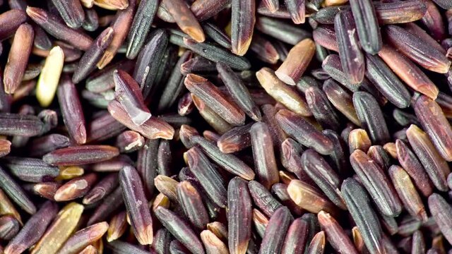 Black rice close up