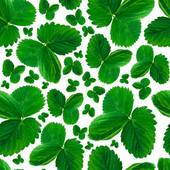 Fototapeta na wymiar White-green seamless pattern with strawberry leaves of different sizes isolated on a white background. Summer, fresh background.