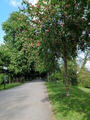 National Park of the Greifswald. Germany. Unesco. Garden.