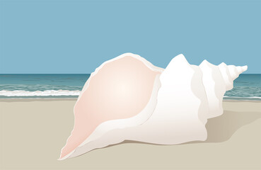 Obraz na płótnie Canvas A bright white conch sea shell sitting on the beach 