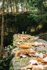 Hocking Hills State Park