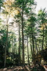 Fototapeta premium Hocking Hills State Park