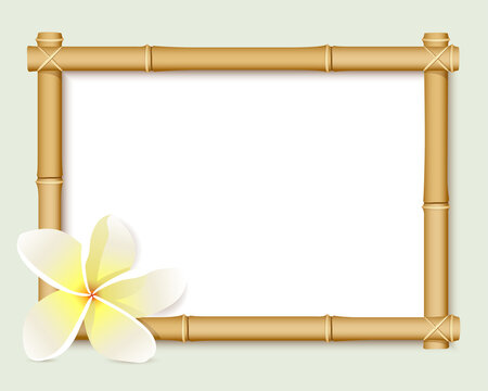 Bamboo and a plumeria flower bordering an empty frame
