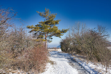 Am Cospoth in Jena, Sendeturm, Funkturm, Winterlandschaft, Naturschutzgebiet Cospoth in Jena, Thüringen, Deutschland