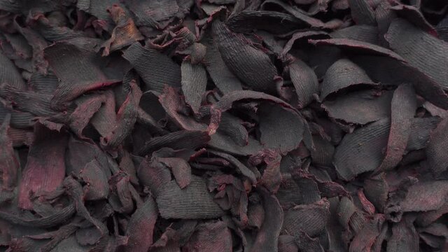 Purple-pink beetroots are kept in the sun to dry. Dried beetroots slice background. Top views. 4k Video.
