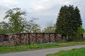 stack of firewood