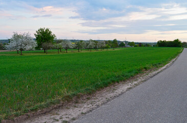 landscape with road
