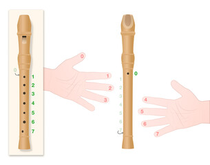 Recorder with correct hand position, numbered fingers and corresponding holes of the instrument to learn to play this music properly. Vector on white.
