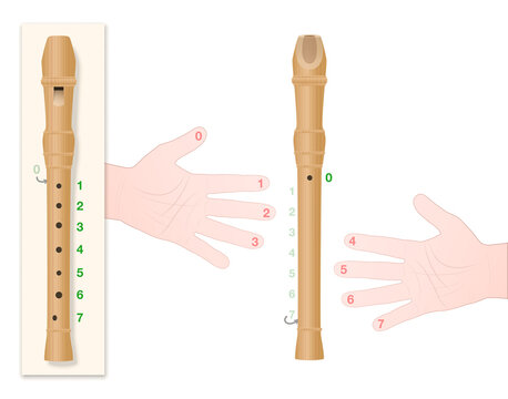 Recorder with correct hand position, numbered fingers and corresponding holes of the instrument to learn to play this music properly. Vector on white.
