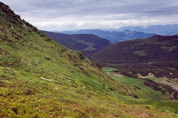 landscape of a Carpathians mountains with grass and sky