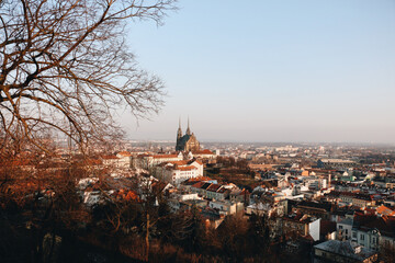 The city of Brno and in the middle the Cathedral of St. Peter and Paul.