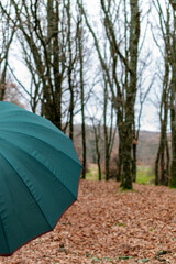 Dark green umbrella in rainy day