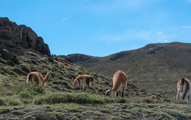 Sur de Chile