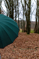 Dark green umbrella in rainy day