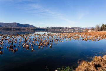 Lake Comabbio of glacial origin in the Province of Varese. It is located between Lake Maggiore and Lake Varese. Italy