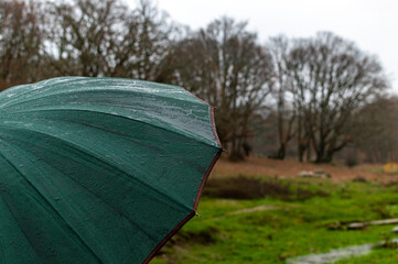 Dark green umbrella in rainy day