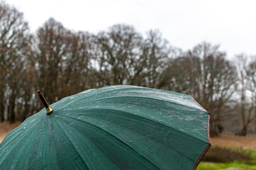 Dark green umbrella in rainy day