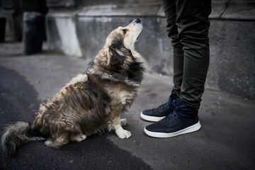 Sad dog sitting by the man.
