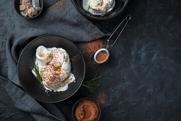 Creamy ice cream with cocoa on a dark background. Top view, horizontal, with space to copy.