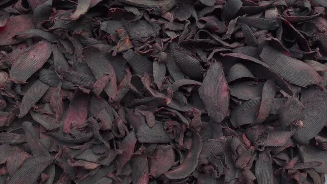 Purple-pink beetroots are kept in the sun to dry. Dried beetroots slice background. Top views. 4k Video.