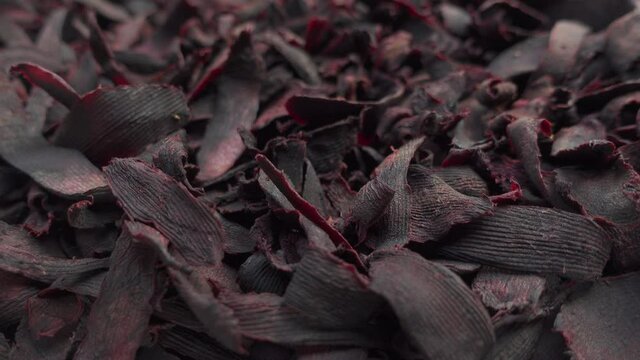 Purple-pink beetroots are kept in the sun to dry. Dried beetroots slice background. Top views. 4k Video.