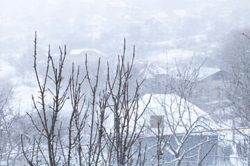 Heavy snow in january - meteorological concept - winter time