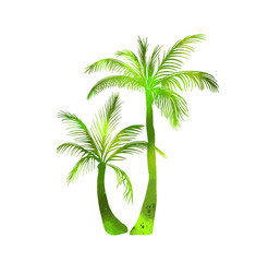 abstract green vector palm tree. Hello summer. Mixed media. Vector illustration