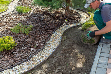 Gardener applying turf rolls in the backyard