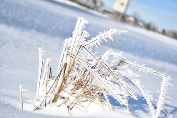 Winter