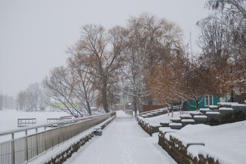 snow covered bridge in winter