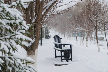 winter park bench