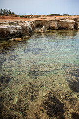 Cyprus national park Akamas in summer.