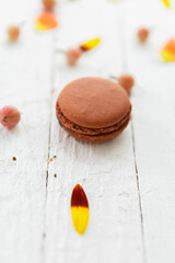 Brown macarons on white background with plant leaves and flowers