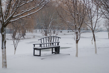 bench in the snow