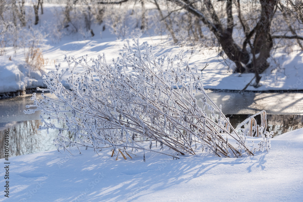 Wall mural the winter view of sunny frosty day with lot of snow, frozen trees and plant