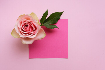 Pink piece of paper and pink roses on pink background. Valentines day background.