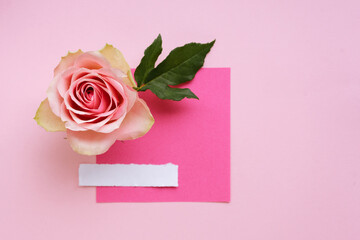 Pink piece of paper and pink roses on pink background. Valentines day background.