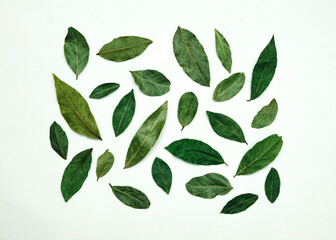 Dry laurel leaves on a white background. Aromatic herbs and spices